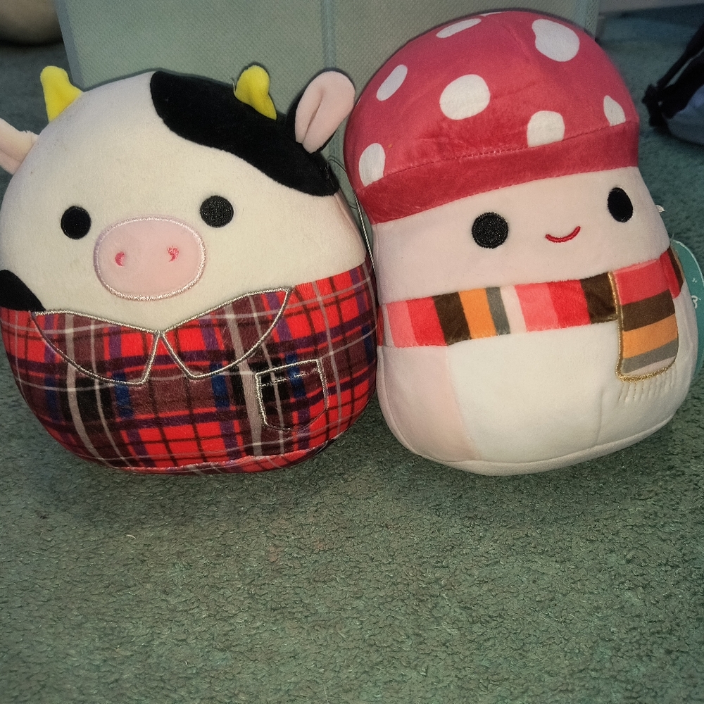malcom the mushroom and connor the cow fall squishmallows